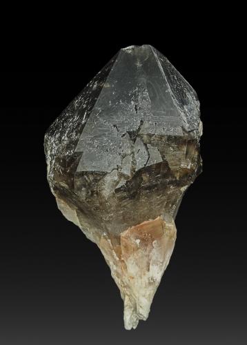 Quartz (variety smoky quartz)<br />Mina Kathleen Patricia Morion, Cowell, Península Eyre, Australia Meridional, Australia<br />10.5 x 5.6 cm<br /> (Author: am mizunaka)