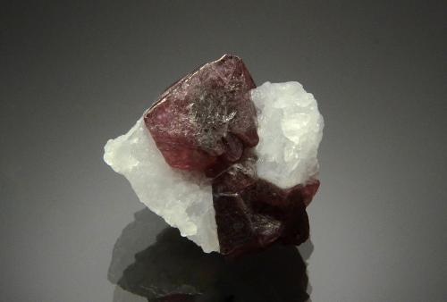 Spinel<br />Montes Mahenge, Región Morogoro, Tanzania<br />2.5 x 2.0 cm<br /> (Author: Michael Shaw)