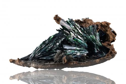 Vivianite and limonite<br />Concesión Cabeça do Cachorro, São Gabriel da Cachoeira, zona Cabeça do Cachorro, Amazonas, Brasil<br />65 x 39 x 30 cm / main crystal: 28 cm.<br /> (Author: MIM Museum)