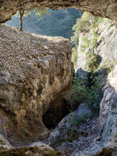 Fig. 15. Mina Los Picayos. Niserias. Peñamellera. Alta. Asturias. Vista zona pozo desde bocamina. Foto Manuel Echevarría. (Autor: Echevarria)