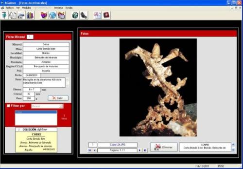 Visualización avanzada de fotos de minerales (Autor: Manuel Mesa)