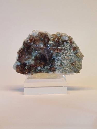 Axinite<br />Rochers de l'Armentier, Le Bourg d'Oisans, Grenoble, Isère, Auvergne-Rhône-Alpes, Francia<br />70mm x 45mm x 20mm<br /> (Author: Philippe Durand)