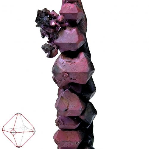 Copper<br />Mina Itauz, Dzhezkazgan, Región Karaganda, Kazajstán<br />63 mm x 10 mm. Major crystal size: 8.5 mm wide - Mass: About 13 g.<br /> (Author: Carles Millan)