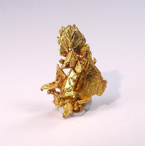 Gold<br />Mina Eagle's Nest, Colina Sage, Distrito Michigan Bluff, Condado Placer, California, USA<br />14 mm x 10 mm x 4 mm<br /> (Author: Don Lum)