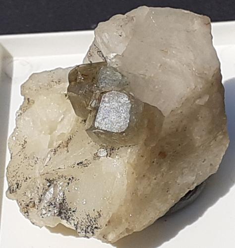 Fluorapatite<br />Valle Aurina (Ahrntal), Provincia autónoma Tirol del Sur, Trentino-Alto Adige (Trentino-Südtirol), Italia<br />3 x 3 cm<br /> (Author: Volkmar Stingl)