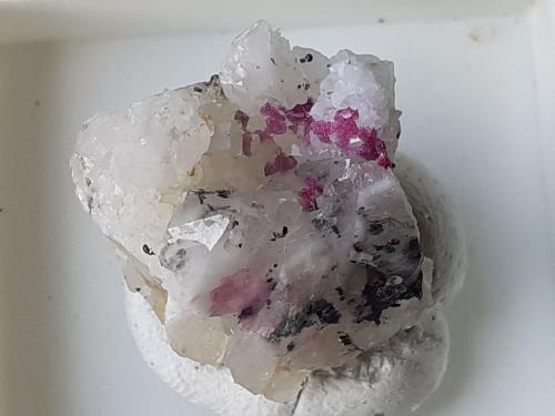 Erythrite, Quartz<br />Mina Vignola, Valsugana, Vignola-Falesina, Provincia Trento, Trentino-Alto Adige (Trentino-Südtirol), Italia<br />1,5 x 1,5 cm<br /> (Author: Volkmar Stingl)