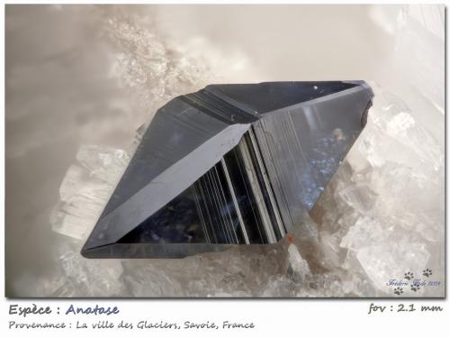 Anatase with Albite<br />Ville des Glaciers, Saboya, Auvergne-Rhône-Alpes, Francia<br />fov 2.1 mm<br /> (Author: ploum)