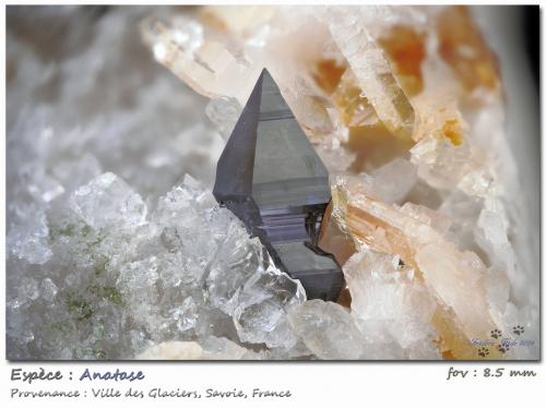 Anatase with Albite and Quartz<br />Ville des Glaciers, Saboya, Auvergne-Rhône-Alpes, Francia<br />fov 8.5 mm<br /> (Author: ploum)