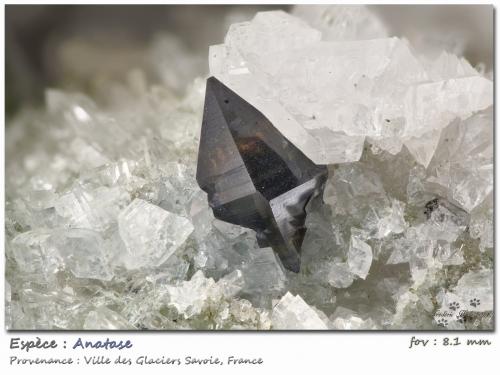 Anatase with Albite<br />Ville des Glaciers, Saboya, Auvergne-Rhône-Alpes, Francia<br />fov 8.1 mm<br /> (Author: ploum)