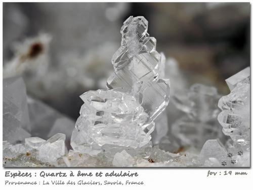 Faden Quartz<br />Ville des Glaciers, Saboya, Auvergne-Rhône-Alpes, Francia<br />fov 19 mm<br /> (Author: ploum)