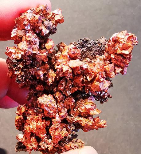 Copper<br />Mina Bou Nahas, zona minera Oumjrane, Comunidad Alnif, Provincia Tinghir, Región Drâa-Tafilalet, Marruecos<br />5cmx5cm<br /> (Author: Enrique Llorens)