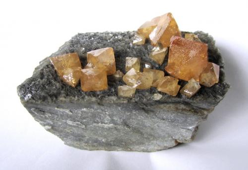 Scheelite, muscovite<br />Monte Xuebaoding, Pingwu, Prefectura Mianyang, Provincia Sichuan, China<br />Specimen size 9,5 x 6 x 5 cm, largest crystal 2 cm<br /> (Author: Tobi)