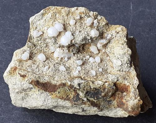 Opal<br />Cantera Case Montanini, Sant'Andrea Bagni, Medesano, Provincia Parma, Emilia-Romagna, Italia<br />6,5 x 4 cm<br /> (Author: Volkmar Stingl)