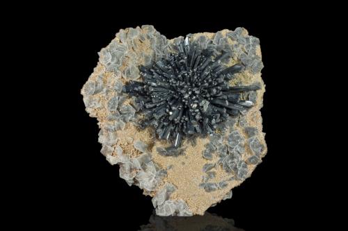 Stibnite on Calcite and Calcite with Boulangerite inclusions<br />Mina Herja, Chiuzbaia, Baia Sprie, Maramures, Rumanía<br />16.5 x 16 x 6 cm / main crystal: 4.4 cm<br /> (Author: MIM Museum)