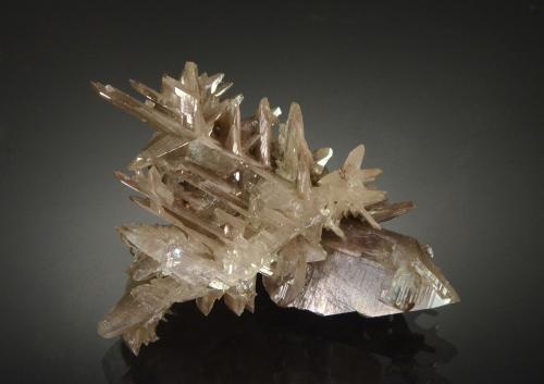 Cerussite<br />Mina Nakhlak, Madan-e Nakhlak, Distrito Anarak, Nain, Provincia Isfahan, Irán<br />4.0 x 3.0 x 1.2 cm<br /> (Author: Michael Shaw)