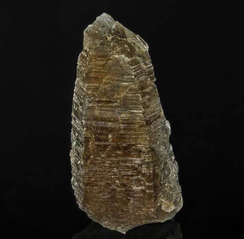 Quartz (variety smoky quartz)<br />Colina Hill, distrito minero Torrington, Condado Clive, Nueva Gales del Sur, Australia<br />9.0 x 4.7 cm<br /> (Author: am mizunaka)