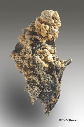 Copiapita<br />Pedrera Rialls, Tordera, Comarca Maresme, Barcelona, Cataluña / Catalunya, España<br />5cm x 6,5cm x 2,5cm<br /> (Autor: Pere Alonso)