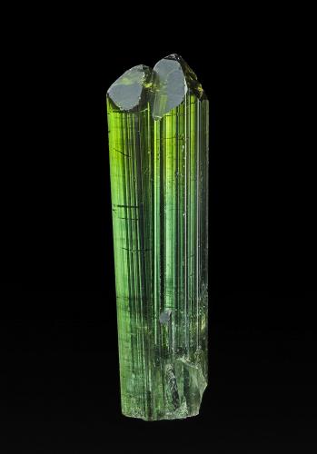 Elbaite<br />Concesión Pederneira, São José da Safira, Governador Valadares, Vale do Rio Doce, Minas Gerais, Brasil<br />6.1 x 1.6 cm<br /> (Author: am mizunaka)