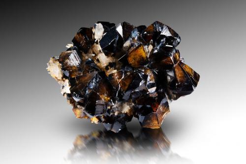 Cassiterite with Quartz<br />Mina Viloco, Sección San Antonio, Provincia Loayza, Departamento La Paz, Bolivia<br />11 x 8.5 x 4 cm / main crystal: 3 cm<br /> (Author: MIM Museum)