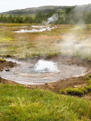 Surgencia de agua caliente en Haukadalur. (Autor: Antonio P. López)