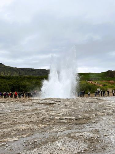 El géiser Strokkur, muy cerca de Geysir, tiene actividad cada 4 a 8 minutos. La primera referencia a este géiser es de 1789, después de que un terremoto desbloqueara el conducto de salida del chorro de vapor. En 1815 alcanzaba una altura de 60 metros. A mediados del siglo XX otro terremoto bloqueó la salida, hasta que en 1963 se limpió el conducto y volvió a tener actividad. Actualmente alcanza una altura de entre 15 a 20 metros, llegando a veces a los 40 metros. (Autor: Antonio P. López)