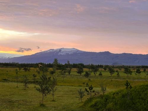 El volcán Eyjafjallajökull se encuentra entre el valle Þórsmörk, al norte, y la costa del océano Atlántico, al sur, en la región de Suðurland, al sur de Islandia. La capa de hielo del glaciar Eyjafjallajökull cubre el volcán, cuya parte superior está marcada por una profunda depresión que corresponde a la caldera, de 2,5 km de diámetro. El pico más alto es una parte del borde del cráter, llamado Hámundur, con 1.651 m de altura sobre el nivel del mar. Es un estratovolcán formado por basalto y andesita, hace unos 700.000 años, que una vez fue parte de la costa del océano Atlántico. La llanura que se extiende desde su pie hasta la costa del océano se formó por el depósito sucesivo de materiales, incluyendo hialoclastitas, arrastrados por las inundaciones causadas por diversas erupciones subglaciales.
En la imagen, el volcán y glaciar Eyjafjallajökull al amanecer visto desde las praderas del distrito Eyjafjallaveist. (Autor: Antonio P. López)