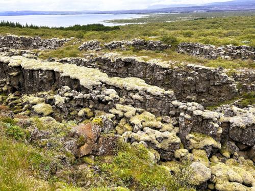 Al sur de Þingvellir está el lago Þingvallavatn, el mayor de Islandia, con 83,7 km2 y una profundidad máxima de 115 metros. Su cuenca se formó por un conjunto de fallas, hundimientos y erosión glaciar, y fue modificada por la actividad volcánica. Sus aguas son alimentadas por el río Öxará que nace en el glaciar Langjökull, a unos 50 km al norte, y por manantiales y acuíferos de aguas subterráneas.
En primer término, una serie de fracturas subparalelas cubiertas de musgo y líquenes. Al fondo, el lago Þingvallavatn. (Autor: Antonio P. López)