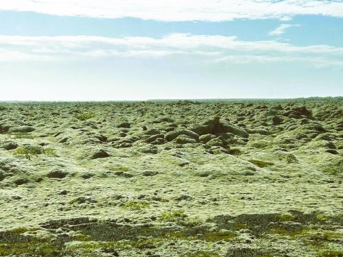 Otra vista de los extensísimos campos de musgo o Eldhraun, al sur del país, circulando por la Ring road. (Autor: Antonio P. López)