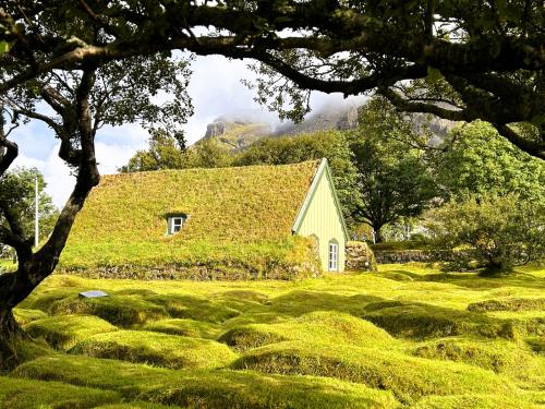 Las casas con tejado de turba y césped se construyen desde la edad de hierro en muchos países nórdicos, pues el aislamiento proporcionado por este material permitía a sus moradores protegerse del frío, la humedad y otras inclemencias del tiempo. 
En primer término, un antiguo cementerio cubierto de turba, cerca de la iglesia Hofskirkja. (Autor: Antonio P. López)