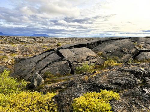 Los alrededores del lago Mývatn marcan la entrada al activo sistema volcánico de Krafla, uno de los cinco que componen la Zona Volcánica Norte, que se encuentra en la placa euroasiática. El bajo contenido en sílice, la elevada temperatura y la escasa cantidad de gases disueltos que presentan los magmas basálticos de Islandia, provocan que su salida sea en forma de fuentes de lava, denominadas erupciones hawaianas. Este tipo de magmas se originan por la fusión del manto en los márgenes de las placas. Las coladas de lava originadas en estas erupciones son de dos tipos: ’pahoehoe’ y ’aa’. Las lavas ’pahoehoe’ muestran una superficie bulbosa y una corteza suave, aunque esta se puede comprimir y plegar dando lugar a las llamadas lavas cordadas. Mientras que las lavas ’aa’ se caracterizan por estar formadas por bloques de lava fragmentados con superficies ásperas y rugosas.
En la imagen, en el municipio de Skútustaðahreppur, aparecen lavas tipo ’pahoehoe’, formando lavas cordadas en primer término, con grietas de contracción por enfriamiento de la colada. (Autor: Antonio P. López)