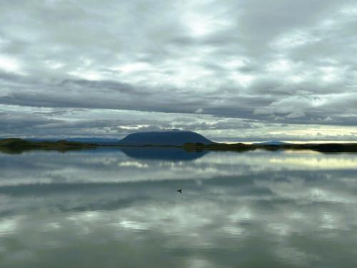 El lago Mývatn pertenece al municipio de Skútustaðahreppur, uno de los más extensos de Islandia. Además del Mývatn, su territorio incluye el lago Öskjuvatn, así como los volcanes Hverfjall, Askja, Krafla y Herðubreið. Al fondo del lago, el Hverfjall, un cráter circular de 140 metros de altura y 1.000 metros de circunferencia. (Autor: Antonio P. López)