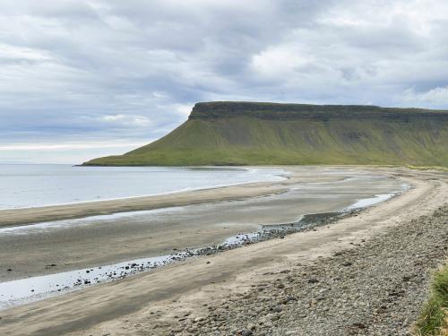 Búlandshöfði es un cabo entre Eyrarsveitar y Fróðársveitar, en la península de Snæfellsnes, al oeste del país. Con una altura total de 326 metros, las rocas basálticas que forman su base corresponden a erupciones de entre 7 y 8 millones de años. Tras un largo ciclo erosivo, hubo un periodo de sedimentación en el que aparecen fósiles de bivalvos, aproximadamente a 135-180 metros, en unos niveles con 1,1 millón de años denominados ‘Formación Búlandshöfði’. Sobre estos depósitos marinos hay algunas coladas de lava expulsadas durante la glaciación Würm, mezcladas con tobas, sedimentos y fragmentos rocosos erosionados por los glaciares, que forman la parte superior del acantilado.
En los primeros años del siglo XX, Helgi Pjetursson (que fue el primer islandés en doctorarse en Geología, en 1905) presentó una teoría revolucionaria en la geología mundial. Su teoría se basaba en que la ‘Edad de Hielo’ (glaciación Würm) no habría sido un invierno frío continuo, sino que hubo periodos cálidos entre periodos fríos que duraron entre diez y veinte mil años. Estas conclusiones las fundamentó con el estudio exhaustivo de los fósiles de la ‘Formación Búlandshöfði’, especialmente con el bivalvo ‘Portlandia arctica’ (antes ‘Yoldia arctica’) que necesita agua salada fría para vivir, y otros niveles con bivalvos marinos de aguas más cálidas. (Autor: Antonio P. López)