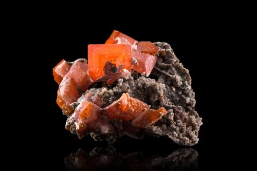 Wulfenite and Quartz<br />M'Fouati, Distrito M'Fouati, Departamento Bouenza, República del Congo<br />7 x 7 x 5 cm / main crystal: 3.1 cm<br /> (Author: MIM Museum)