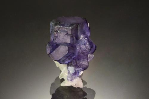 Fluorite<br />Mina Milpo, Cerro de Pasco, distrito minero Atacocha, Provincia Pasco, Departamento Pasco, Perú<br />2.6 x 1.8 cm<br /> (Author: Michael Shaw)