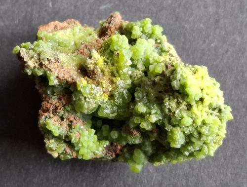 Pyromorphite<br />Mina Crabulazzu, Arbus, Provincia Medio Campidano, Cerdeña/Sardegna, Italia<br />3,5 x 2,5 cm<br /> (Author: Volkmar Stingl)