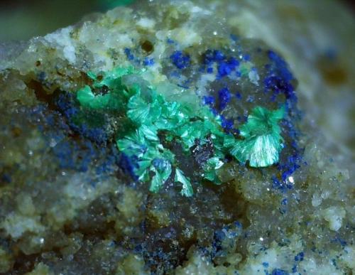 Tyrolite, Azurite, Quartz, minor Malachite<br />Flirscher Schihütte, Strengen, Distrito Landeck, Tirol Norte, Tirol, Austria<br />ca. 6 x 4 mm<br /> (Author: Volkmar Stingl)