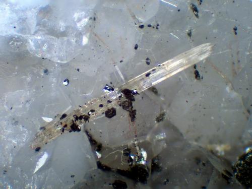 Burbankita, Ilmenita, Analcima<br />Pedra Balão, Complejo alcalino Poços de Caldas, Poços de Caldas, Minas Gerais, Brasil<br />Cristal de 2 mm.<br /> (Autor: Antonio P. López)