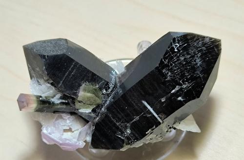 Elbaite, Quartz, Albite, Muscovite<br />Stak Nala, Montes Haramosh, Distrito Skardu, Gilgit-Baltistan (Áreas del Norte), Paquistán<br />67 mm x 36 mm. Largest crystal: 58 mm<br /> (Author: Carles Millan)