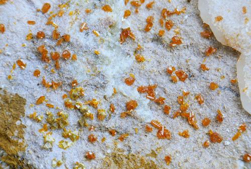 Calderonita y descloizita.<br />Mina San Francisco (antigua mina Pura), Higuera de Llerena, Comarca Campiña Sur, Badajoz, Extremadura, España<br />Campo de visión de 5 mm.<br /> (Autor: Antonio Carmona)