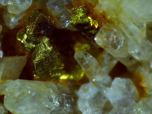 Chalcopyrite, Quartz<br />Klammalm, Navis, Distrito Innsbruck-Land, Tirol Norte, Tirol, Austria<br />7 x 6 cm<br /> (Author: Volkmar Stingl)