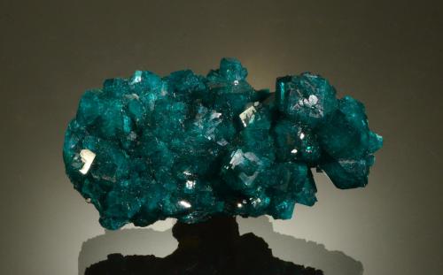 Dioptase<br />Mindouli, Distrito Mindouli, Departamento Pool, República del Congo<br />5.2 x 3.1 x 2.3 cm<br /> (Author: Michael Shaw)