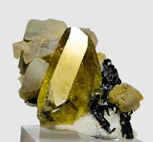 Titanite, schorl, calcite
Tormiq Valley, Haramosh Mts., Skardu, Gilgit-Baltistan, Pakistan
49 mm x 47 mm (Author: Carles Millan)