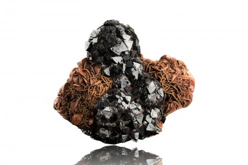 Cronstedtite with Siderite and Dolomite<br />Mina Herja, Chiuzbaia, Baia Sprie, Maramures, Rumanía<br />4.5 x 3.5 x 4 cm / main crystal: 0.5 cm<br /> (Author: MIM Museum)