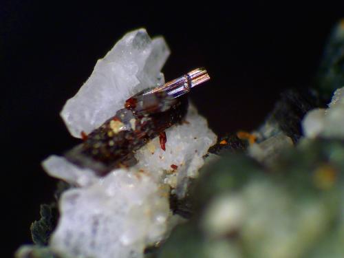 Rutilo, Cuarzo<br />Canteras de Mármol, Macael, Comarca Valle del Almanzora, Almería, Andalucía, España<br />Grupo de cristales de 1 mm.<br /> (Autor: Antonio P. López)