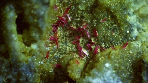 Erythrite, Quartz, Calcite<br />Galería Stocker, distrito minero Silberberg, Reith im Alpbachtal, Distrito Kufstein, Valle Inn, Tirol Norte, Tirol, Austria<br />5,5 x 4 cm<br /> (Author: Volkmar Stingl)