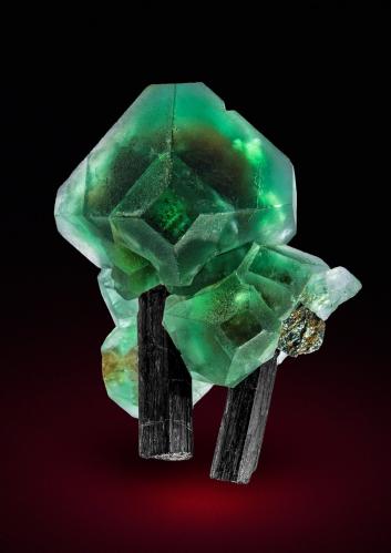 Fluorite, Schorl<br />Monte Erongo, Usakos, Región Erongo, Namibia<br />Specimen height 3,5 cm<br /> (Author: Tobi)