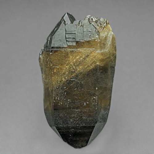 Quartz (variety smoky quartz)<br />Pine Ridge, Distrito Copeton Dam, Condado Murchison, Nueva Gales del Sur, Australia<br />7.0 x 4.0 cm<br /> (Author: am mizunaka)