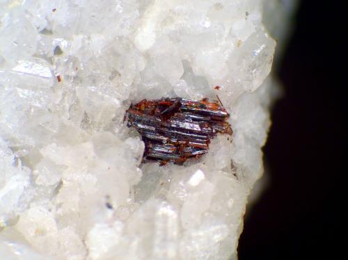 Rutilo<br />Canteras de Mármol, Macael, Comarca Valle del Almanzora, Almería, Andalucía, España<br />Cristal de 3 mm.<br /> (Autor: Antonio P. López)