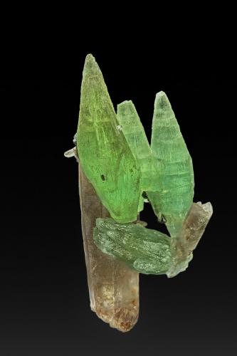 Beryl (variety aquamarine), Quartz (variety smoky quartz)<br />Pegmatita Manakana, Manakana, Comuna Manakana, Distrito Tsaratanàna, Región Betsiboka, Madagascar<br />8.4 x 3.2 cm<br /> (Author: am mizunaka)