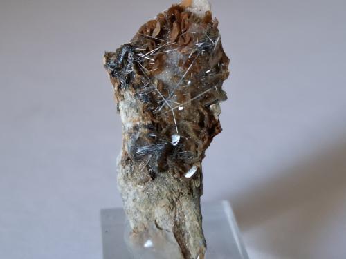 Boulangerite, Siderite<br />Mina Bottino, Sant'Anna (Sant'Anna di Stazzema), Alpes Apuanos, Municipio Stazzema, Provincia Lucca, Toscana, Italia<br />3,5 x 1,5 cm<br /> (Author: Volkmar Stingl)